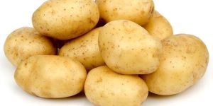 Fresh Potato