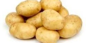 Fresh Potato