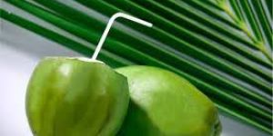 Tender Coconut