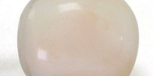 White Coral Gemstone