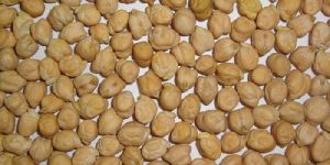 Chickpeas