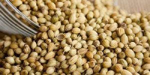 Coriander Seeds