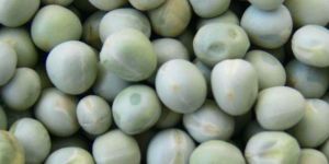 Green Peas