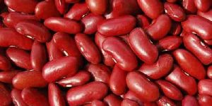 KIDNEY BEAN