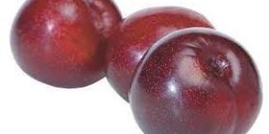 Fresh Kashmiri Plum