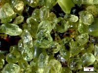 Olivine Sand