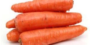 Organic Carrot