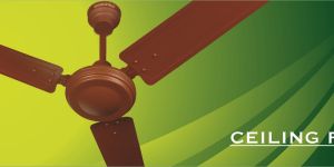 Ceiling Fans