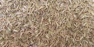 Cumin Seeds