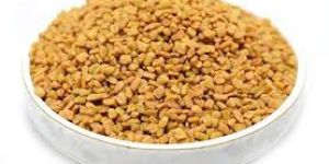 Fenugreek Seeds