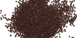 Mustard Seeds