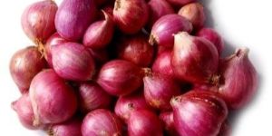 Fresh Madras Onion
