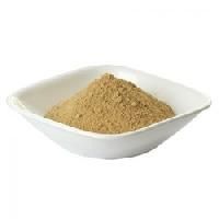 Bacopa Monnieri Extract