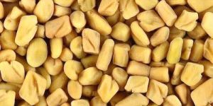 Fenugreek Seeds