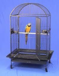 Parrot Cage