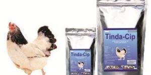 Tinda-Cip Poultry Feed Supplement