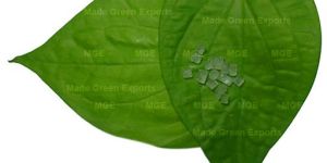 Betel Leaves