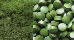 Spirulina Powder & Tablets