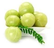 Fresh Amla