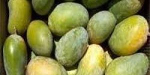 Organic Kesar Mango