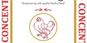 Gold Concentrate Crumbs