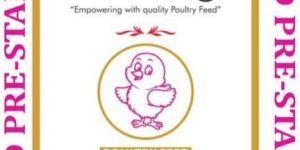 Gold Pre Starter Crumbs