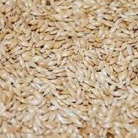 Canary Seed