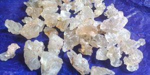 Gum Katira (Gum Karaya)
