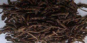 Kutki Roots