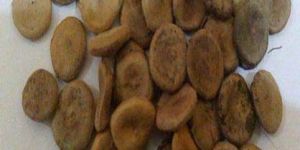 Nux Vomica Seeds