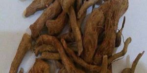 Sarpagandha