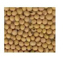 Guar Gum Seed