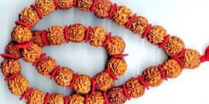 Rudraksha Kantha Mala