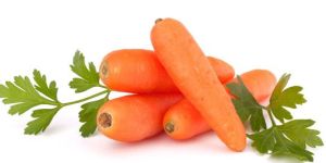 Fresh Carrot