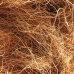 Coconut Fiber