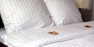 Plain Dyed Bed Sheets