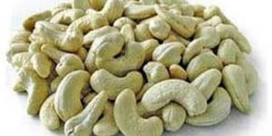 Cashew Nuts