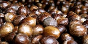 Nutmeg Seeds