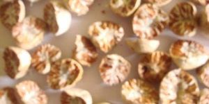 Betel Nuts