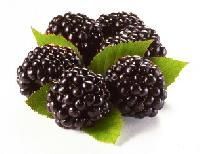 Blackberry
