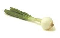 Green Onions