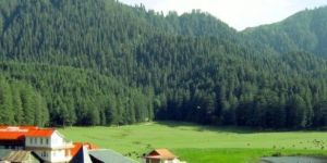 Tour Packages Services