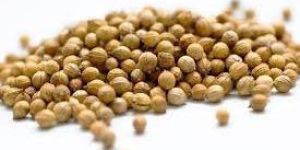 Coriander Seeds