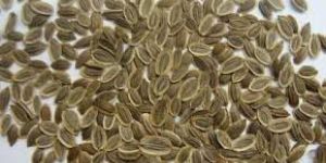 Dill Seeds