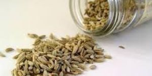 Fennel Seeds