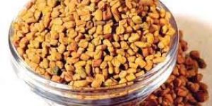 Fenugreek Seeds