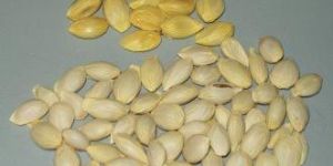 Lime Seeds