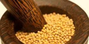 Yellow Mustard Seeds
