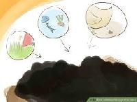 Nitrogen Fertilizers