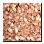 Red Rice